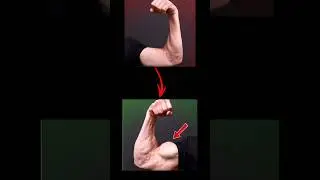 Biceps workout at home #trending #shorts #viral #alphamode