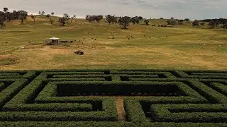 Graze in the Maze - Orange Food Week 2021