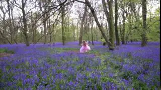 Fairy Sarah and Friends &copy; - Intro 1