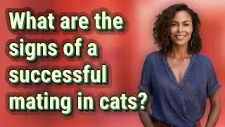 What are the signs of a successful mating in cats?