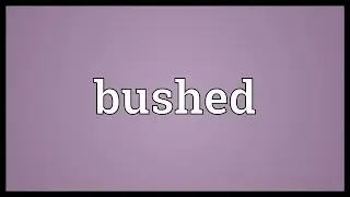 Bushed Meaning