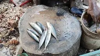 Mathi Fish Cleaning Process 
