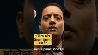 Brain Stem क्या है? 🤔 Control Center of Breath & Heartbeat 🧠