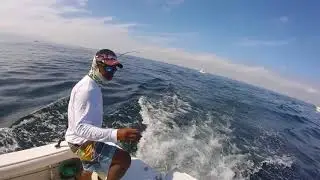 Jack Cravalle smashes Rapala with huge bite, Puerto Vallarta Mexico