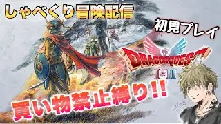 【初見プレイ】姫を救い出せ！ドラゴン討伐！買い物禁止縛り【お喋り冒険配信】【ドラゴンクエスト１&２】
