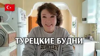 Турецкие Будни: животный мир/никому не отдам/свекровь ушла, сварила суп 🥰