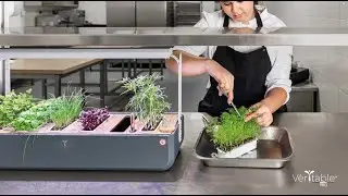 V&eacute;ritable Pro - Gourmet - Catering