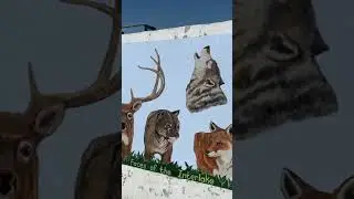 Gimli Seawall Gallery