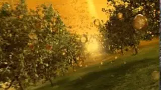 Bulmers Irish Cider: Bulmers Draught - 