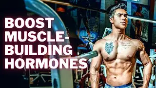 5 Ways to Boost Testosterone, Androgen Receptors, and Growth Hormone