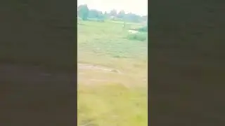 dansay bongay bolo yena bad khet nana hunar baha jo bili yena
