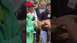 Revista Ciencia Visual N&deg; 6. Programa Biolog&iacute;a Ambiental, Universidad de Ibagu&eacute;