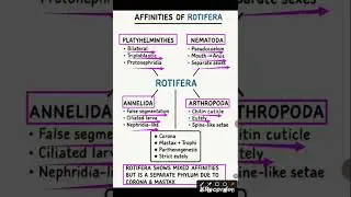 #AFFINITIES OF ROTIFERA#MIND MAP #shorts #MINOR PHYLA#NON CHORDATA #MSC ZOOLOGY.