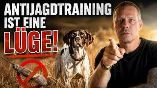 Antijagdtraining ist eine L&uuml;ge &ndash; was dein Hund dir wirklich spiegelt #hundetraining #hundeerziehung