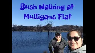 Bush Walking  at Mulligans Flat Canberra