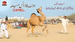 Camel Dance Mela New Video Lal Sohana Cholastan Bahawalpur