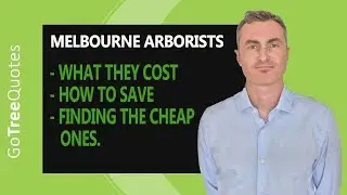 Arborist Melbourne - What They Cost an How To Save.