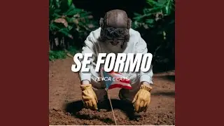 SE FORMÓ
