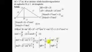 IX-Trigonometrie-Functii trigonometrice in triunghiul dreptunghic-Medium level - Final