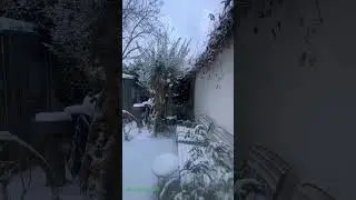 Outside the window #hangfootprints #hanghoonthego #snow #music #limburg #travel #song #shortvideo