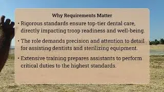 What Are Air Force Dental Assistant Requirements?
