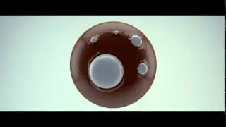 [/CONCEPT] CINEMA 4D & AFTER EFFECTS
