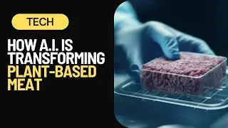 How AI & Machine Learning are Enhancing Plant-Based Meat