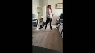Carpet dog hair removal