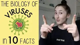 10 QUICK FIRE FACTS ABOUT VIRUSES | BIOLOGY WITH HOLLY