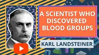 Karl Landsteiner: A Scientist Who Discovered Blood Groups