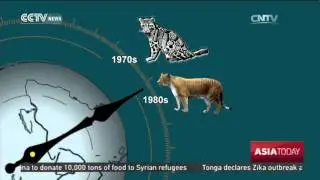 Animals endangered by human development