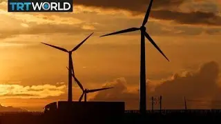 WEF: 600% rise needed in clean energy investments by 2050 | Money Talks