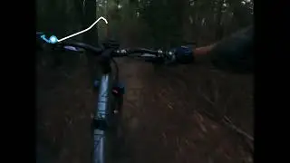 Upper Luge -South Hobart