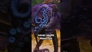 Bite Sized Fun Facts