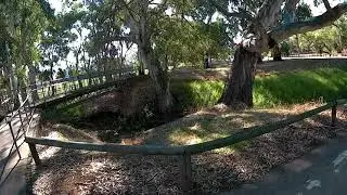 Little Para River Trail, Bike ride #4