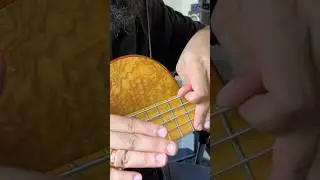 SENTIMENTAL LOOP#BassPlayer #LoopStation #BassGroove #MusicLoop #MelodicBass #BassMelodies
