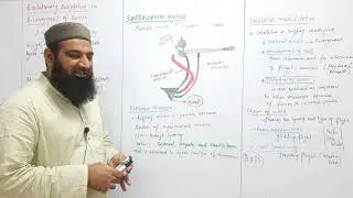 Biology Ch#16-Lecture#34 Evolutionary adaptation in arrangement of bones Part 2 (F.Sc 2nd Year)