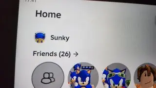Survive the killer!!! the sunky is me (I asked a random person to make this video)And SHADOW and Pad