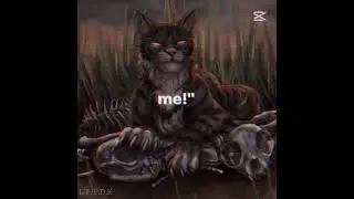 Tygrysi Pazur/Gwiazda.         Tiger Claw/Star #tigerclaw #tigerstar #warriorcats #edit
