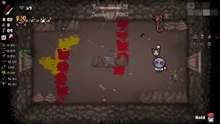 January 10 2026 Binding of Isaac Daily Run