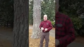 Kevin Caldwell explains issues with non-accredited pruning services.