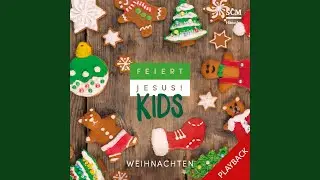 Jesus, wie war das denn (Playback)
