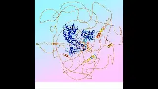 Flushing Old Blood Reverses Aging Biology