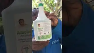 Adaolisa Universal Disinfectant is Celebrating World Braille Day 2026 by United Nations.