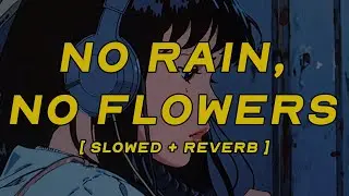 the black keys - no rain, no flowers [ slowed + reverb ] (lyrics)