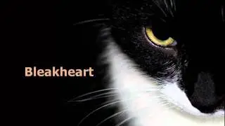 Bleakheart Audition - Warriors Animation - Jayswing