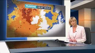 Rising sea temperature is causing an octopus invasion in the UK - 6/June/2025