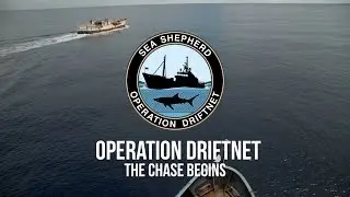 Operation Driftnet: The Chase Begins
