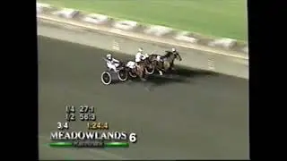 1999 Meadowlands LADYJACK David Miller Sweetheart Elimination