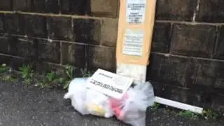 Trash Problem Japan